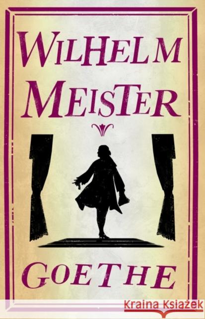 Wilhelm Meister Johann Wolfgang Von Goethe H. M. Waidson 9781847498458 Alma Books - książka