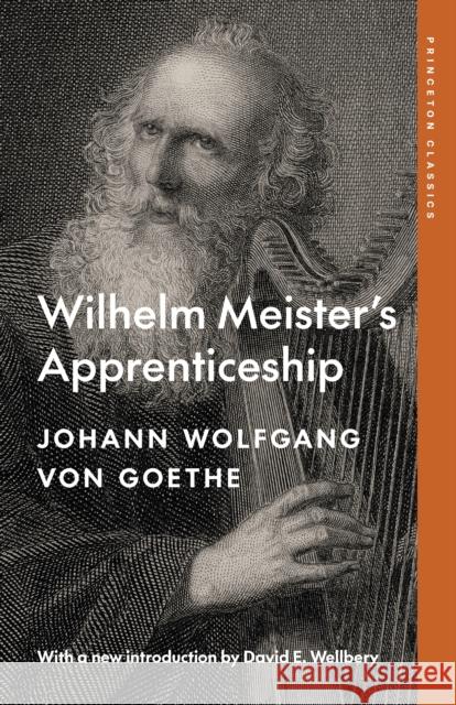 Wilhelm Meister's Apprenticeship Johann Wolfgang von Goethe 9780691259147 Princeton University Press - książka