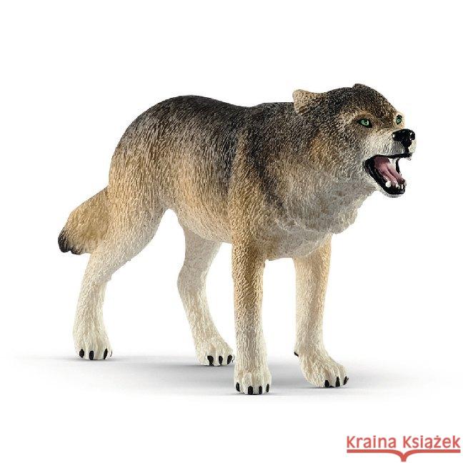 Wilk  4055744029639 TM Toys - książka