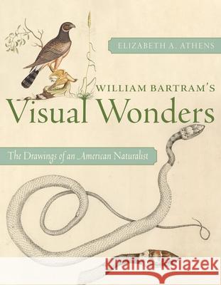 William Bartram's Visual Wonders: The Drawings of an American Naturalist Elizabeth A Athens 9780822948261 University of Pittsburgh Press - książka