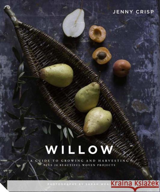 Willow: A Guide to Growing and Harvesting - Plus 20 Beautiful Woven Projects Jenny Crisp 9781911127710 Jacqui Small - książka
