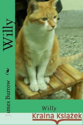 Willy James Burrow 9781544926858 Createspace Independent Publishing Platform - książka