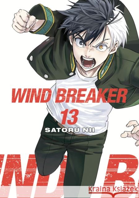 WIND BREAKER 13 Nii, Satoru 9781646519606 Kodansha Comics - książka