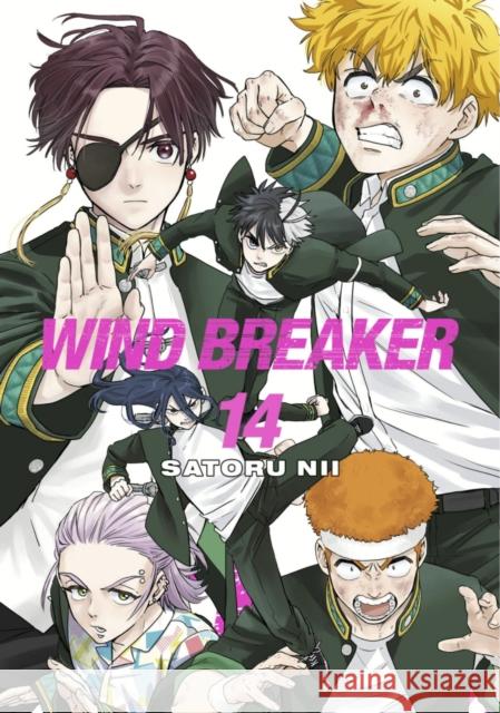 WIND BREAKER 14 Nii, Satoru 9781646519613 Kodansha Comics - książka