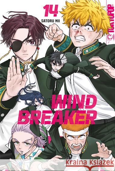 Wind Breaker 14 Nii, Satoru 9783759308245 Tokyopop - książka