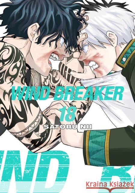 WIND BREAKER 18 Nii, Satoru 9781646519651 Kodansha Comics - książka