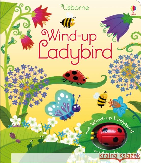 Wind-up Ladybird Fiona Watt 9781409583882 Usborne Publishing Ltd - książka