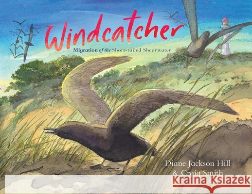Windcatcher: Migration of the Short-tailed Shearwater Diane Jackso Craig Smith 9781486322657 CSIRO Publishing - książka