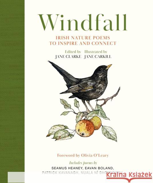 Windfall: Irish Nature Poems to Inspire and Connect Jane Clarke 9781399729611 Hachette Books Ireland - książka