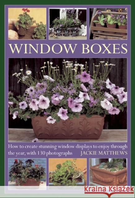 Window Boxes: How to Create Stunning Window Displays to Enjoy Throughout the Year Jackie Matthews 9780754826705 Anness - książka