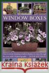 Window Boxes: How to Create Stunning Window Displays to Enjoy Throughout the Year Jackie Matthews 9780754826705 Anness