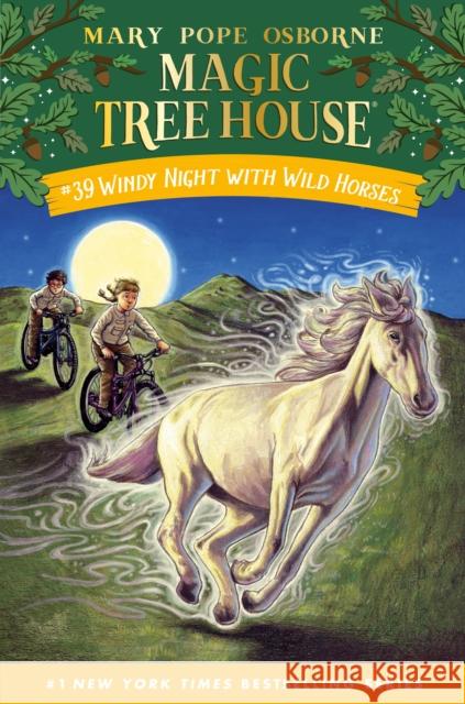 Windy Night with Wild Horses Mary Pope Osborne 9780593706473 Random House Books for Young Readers - książka