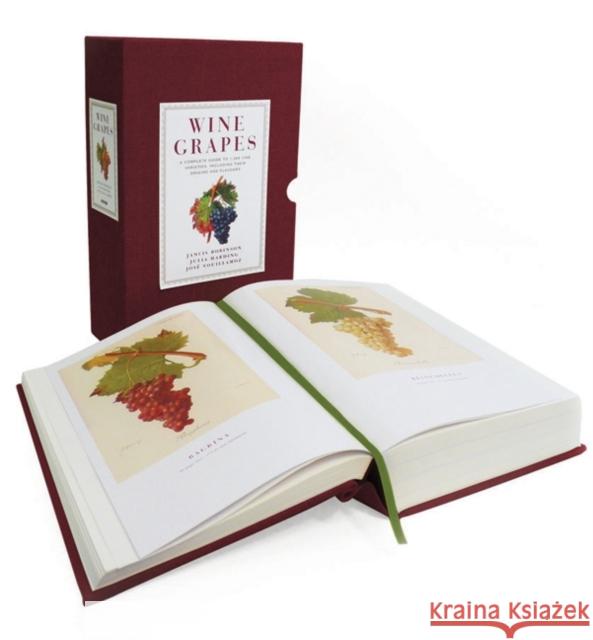 Wine Grapes: A Complete Guide to 1,368 Vine Varieties, Including Their Origins and Flavours Jancis Robinson Julia Harding Jose Vouillamoz 9780062206367 Ecco Press - książka