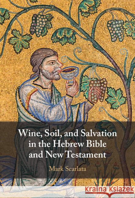 Wine, Soil, and Salvation in the Hebrew Bible and New Testament Mark (St Mellitus College, London) Scarlata 9781009551113 Cambridge University Press - książka