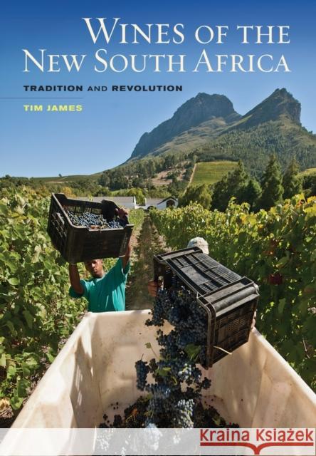 Wines of the New South Africa: Tradition and Revolution James, Tim 9780520260238 University of California Press - książka