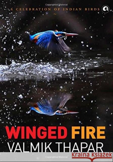 Winged Fire: A Celebration of Indian Birds, Part 3 of The Indian Wildlife Trilogy Thapar, Valmik 9789383064694 Aleph Book Company - książka
