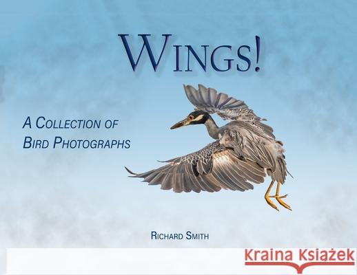 Wings! Richard Smith 9781087922843 IngramSpark - książka