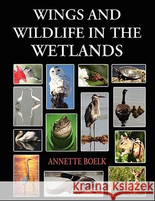 Wings and Wildlife in the Wetlands Annette Boelk 1st World Library                        1st World Publishing 9781421891002 1st World Publishing - książka