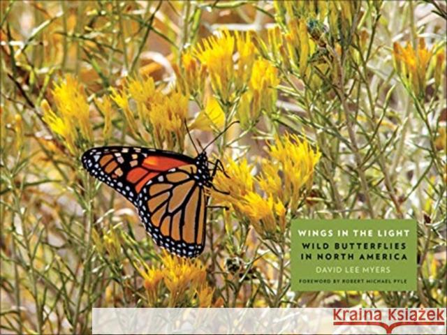 Wings in the Light: Wild Butterflies in North America David Lee Myers Robert Michael Pyle 9780300236132 Yale University Press - książka