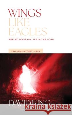 Wings Like Eagles: Reflections on Life in the Lord Vol. 4: Matthew-John David King   9781955285650 Spiritbuilding.com - książka