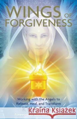 Wings of Forgiveness Gray, Kyle 9781401947460 Hay House - książka