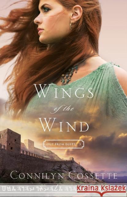 Wings of the Wind Connilyn Cossette 9780764218224 Bethany House Publishers - książka