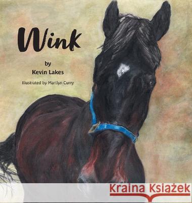 Wink Kevin Lakes, Marilyn Curry, Susie DeCoste 9781039155237 FriesenPress - książka
