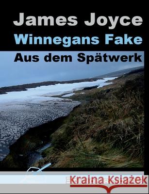 Winnegans Fake: Aus dem Spätwerk Joyce, James 9783947261994 Edition Rejoyce - książka