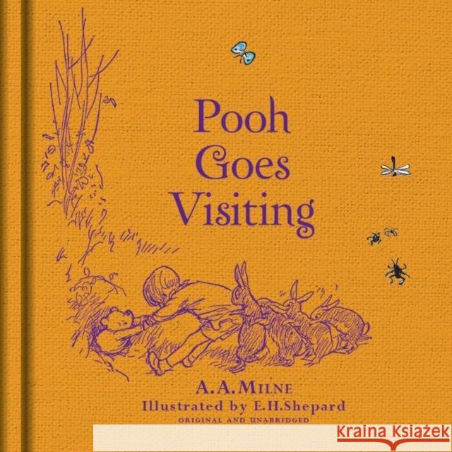 Winnie-the-Pooh: Pooh Goes Visiting  9781405281331 HarperCollins Publishers - książka