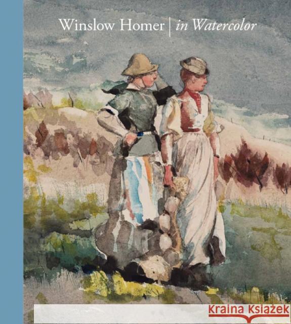 Winslow Homer in Watercolor Winslow Homer 9780878469062 MFA Publications - książka