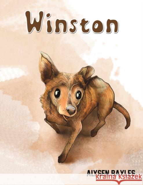 Winston Alysen Bayles 9781647500054 Austin Macauley Publishers LLC - książka