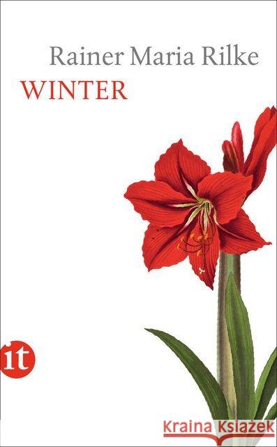 Winter Rilke, Rainer M. 9783458358923 Insel, Frankfurt - książka