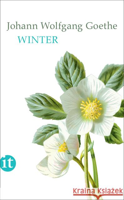 Winter Goethe, Johann Wolfgang von 9783458363088 Insel Verlag - książka