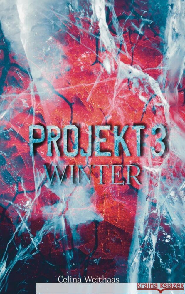 Winter - Projekt III Weithaas, Celina 9783384633002 tredition - książka