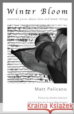 Winter Bloom Matt Pelicano Sandra Stanton 9780578386027 Oakdale Publishing - książka
