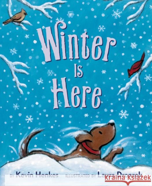 Winter Is Here Board Book Kevin Henkes 9780062747211 Greenwillow Books - książka