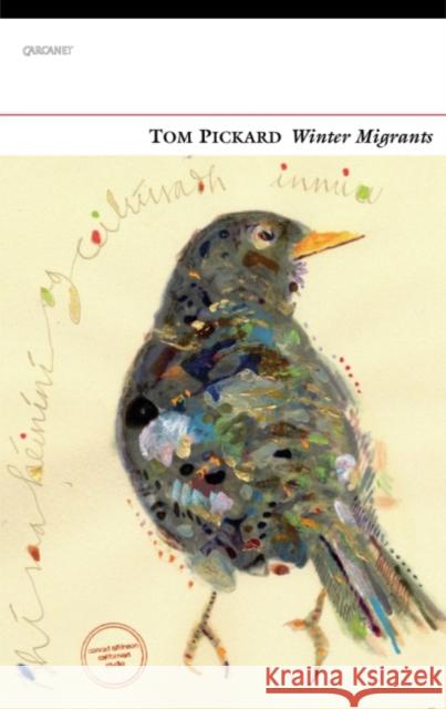Winter Migrants Tom Pickard 9781784102647 Carcanet Press Ltd - książka