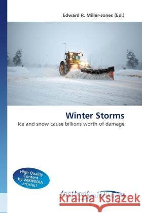 Winter Storms Miller-Jones, Edward R. 9786130111021 FastBook Publishing - książka