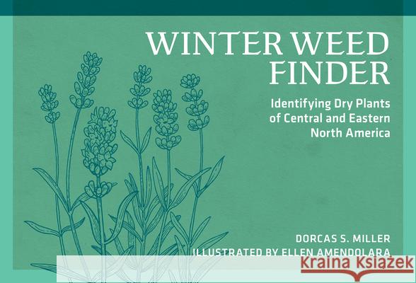 Winter Weed Finder: Identifying Dry Plants of Central and Eastern North America  9780912550534 Nature Study Guild Publishers - książka