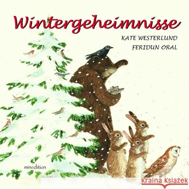Wintergeheimnisse Westerlund, Kate 9783039346059 Minedition - książka