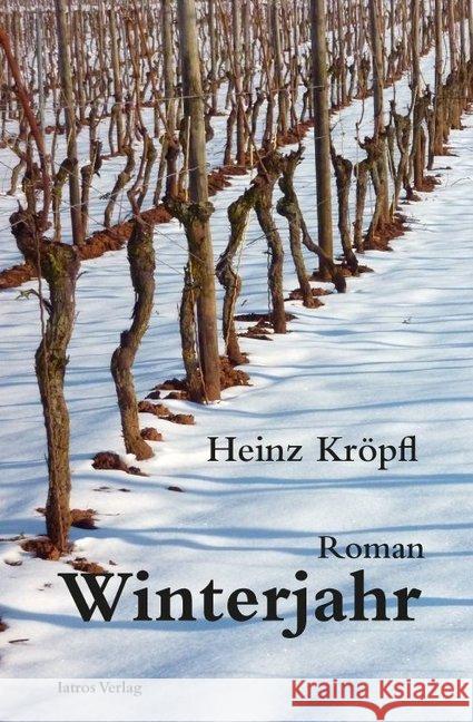 Winterjahr : Roman Kröpfl, Heinz 9783869636085 Iatros Verlag - książka