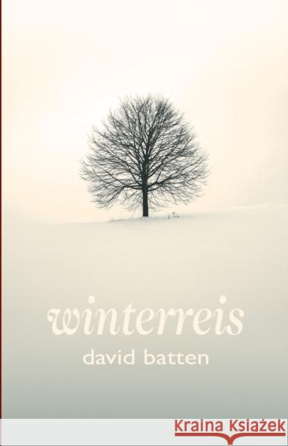 Winterreis David Batten 9781788641067 Cinnamon Press - książka