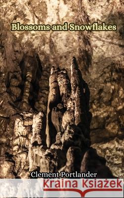 Winter's Silence Clement Portlander 9789916855737 Creative Arts Management Ou - książka