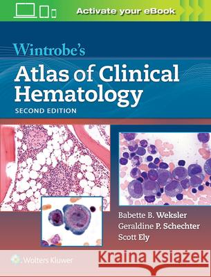 Wintrobe's Atlas of Clinical Hematology Douglas C. Tkachuk 9781605476148 Lippincott Williams & Wilkins - książka