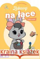 Wiosenne malowanki. Zabawy na łące praca zbiorowa 9788383880921 Zielona Sowa - książka