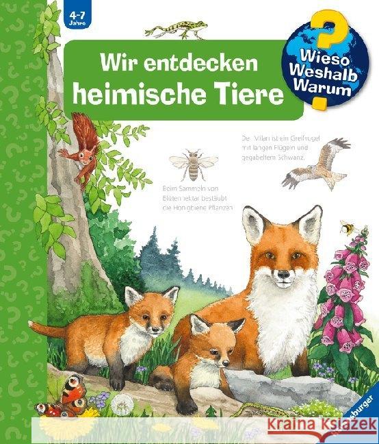 Wir entdecken heimische Tiere Mennen, Patricia 9783473329489 Ravensburger Buchverlag - książka