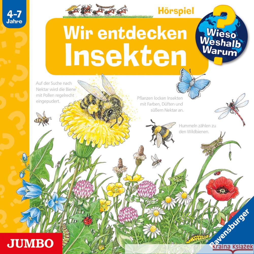 Wir entdecken Insekten, Audio-CD : CD Standard Audio Format, Hörspiel Weinhold, Angela 9783833741326 Jumbo Neue Medien - książka