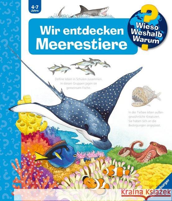 Wir entdecken Meerestiere Erne, Andrea 9783473326433 Ravensburger Buchverlag - książka