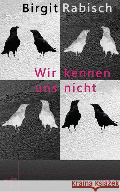 Wir kennen uns nicht : Roman Rabisch, Birgit 9783946086222 Duotincta - książka