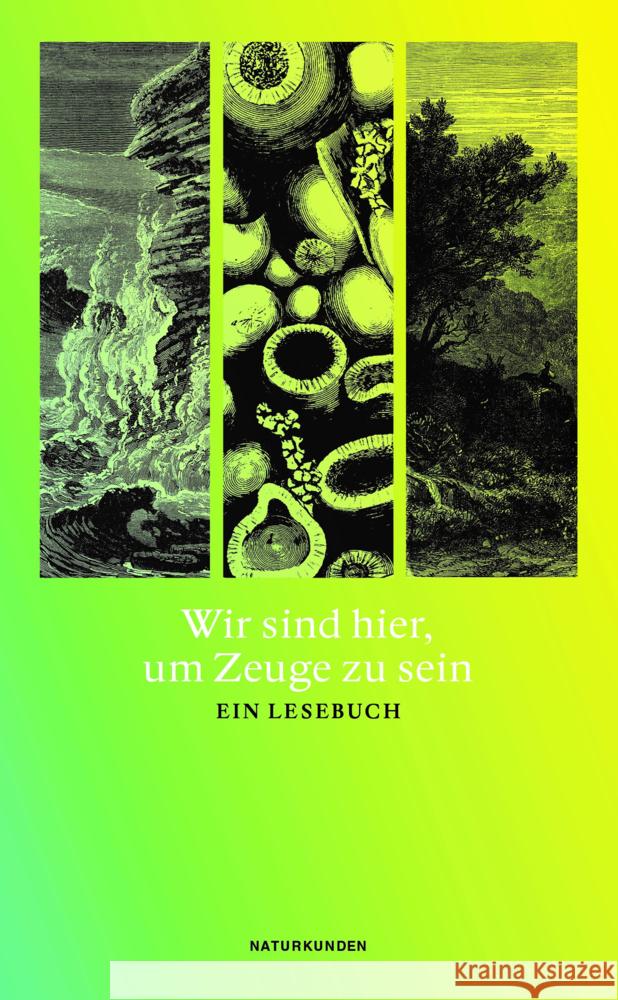 Wir sind hier, um Zeuge zu sein  9783751840088 Matthes & Seitz Berlin - książka